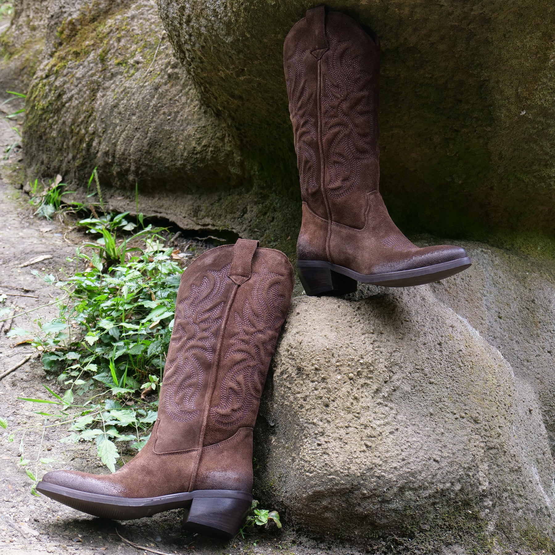 CALIFORNIA - Choc Brown Classic