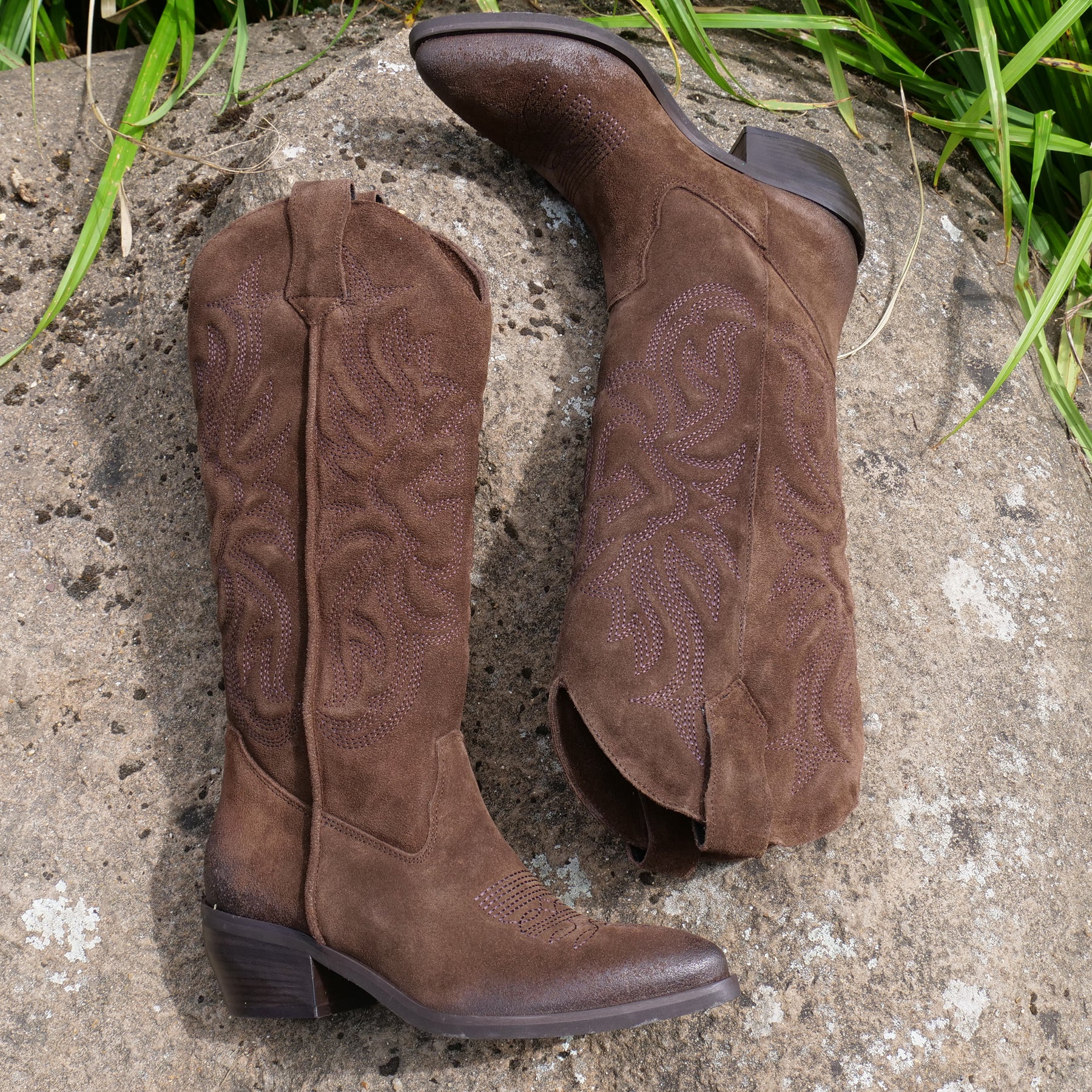 CALIFORNIA - Choc Brown Classic