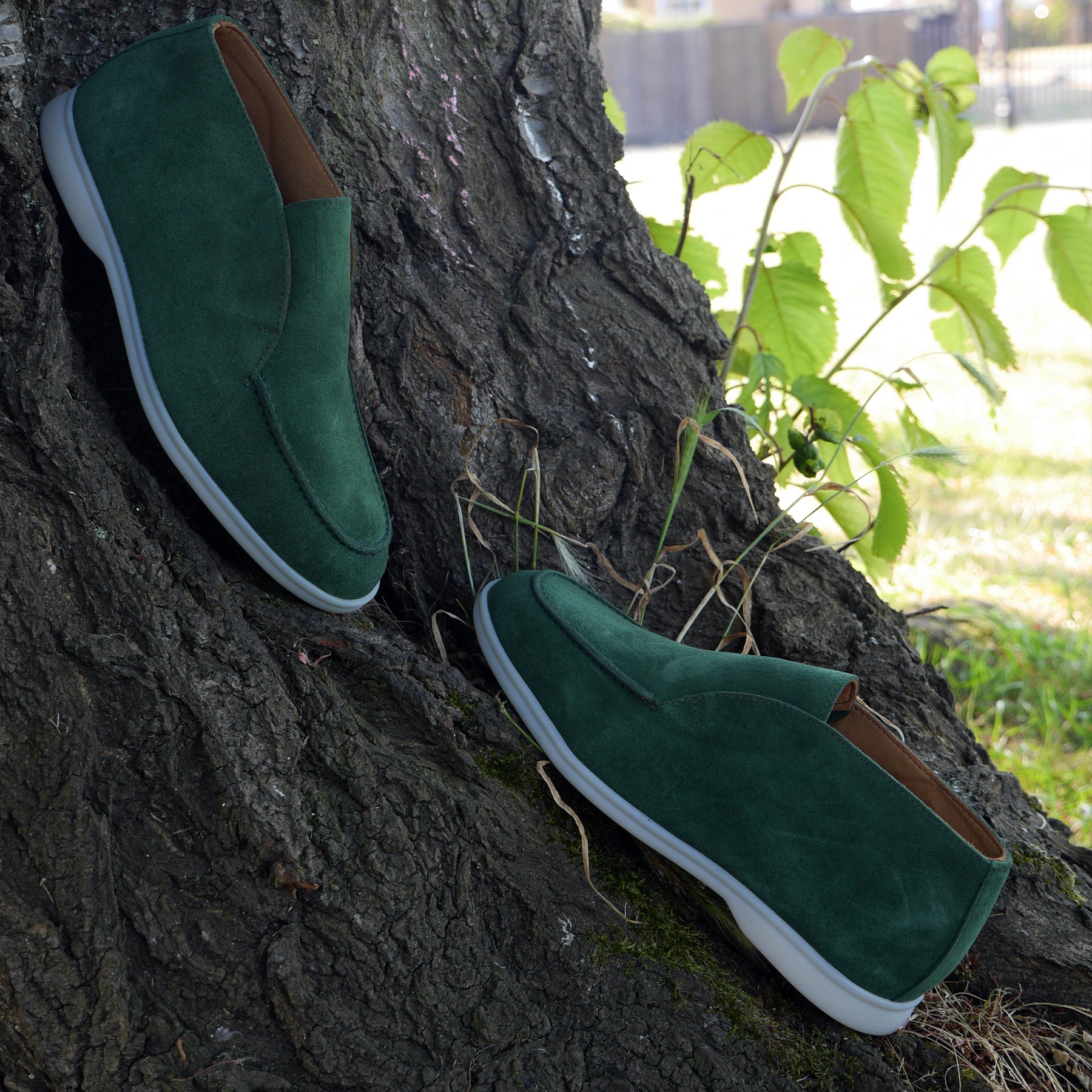 5514 - Mountain Pine