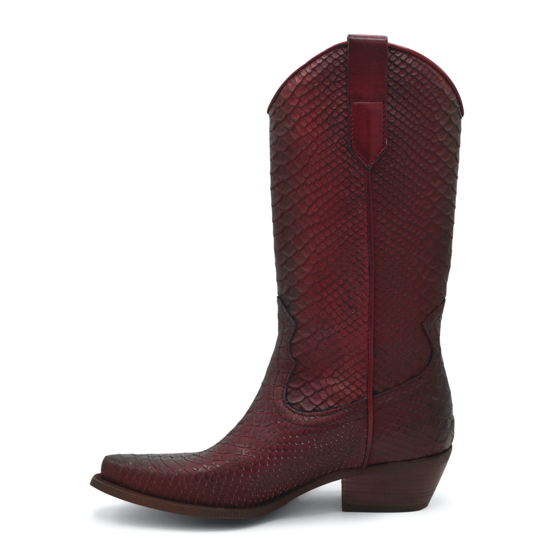 DAKOTA11 - Red Python