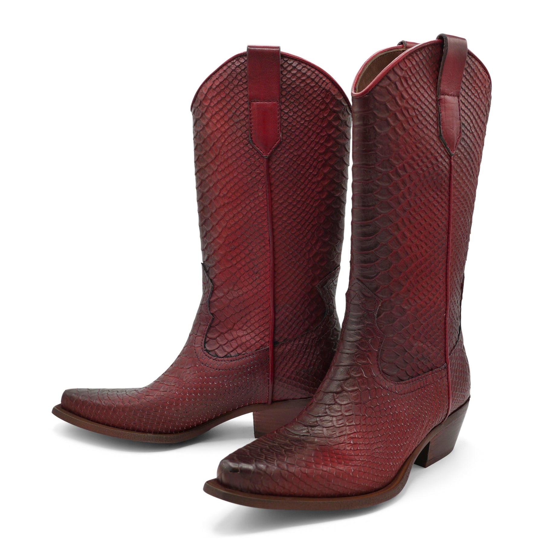 DAKOTA11 - Red Python