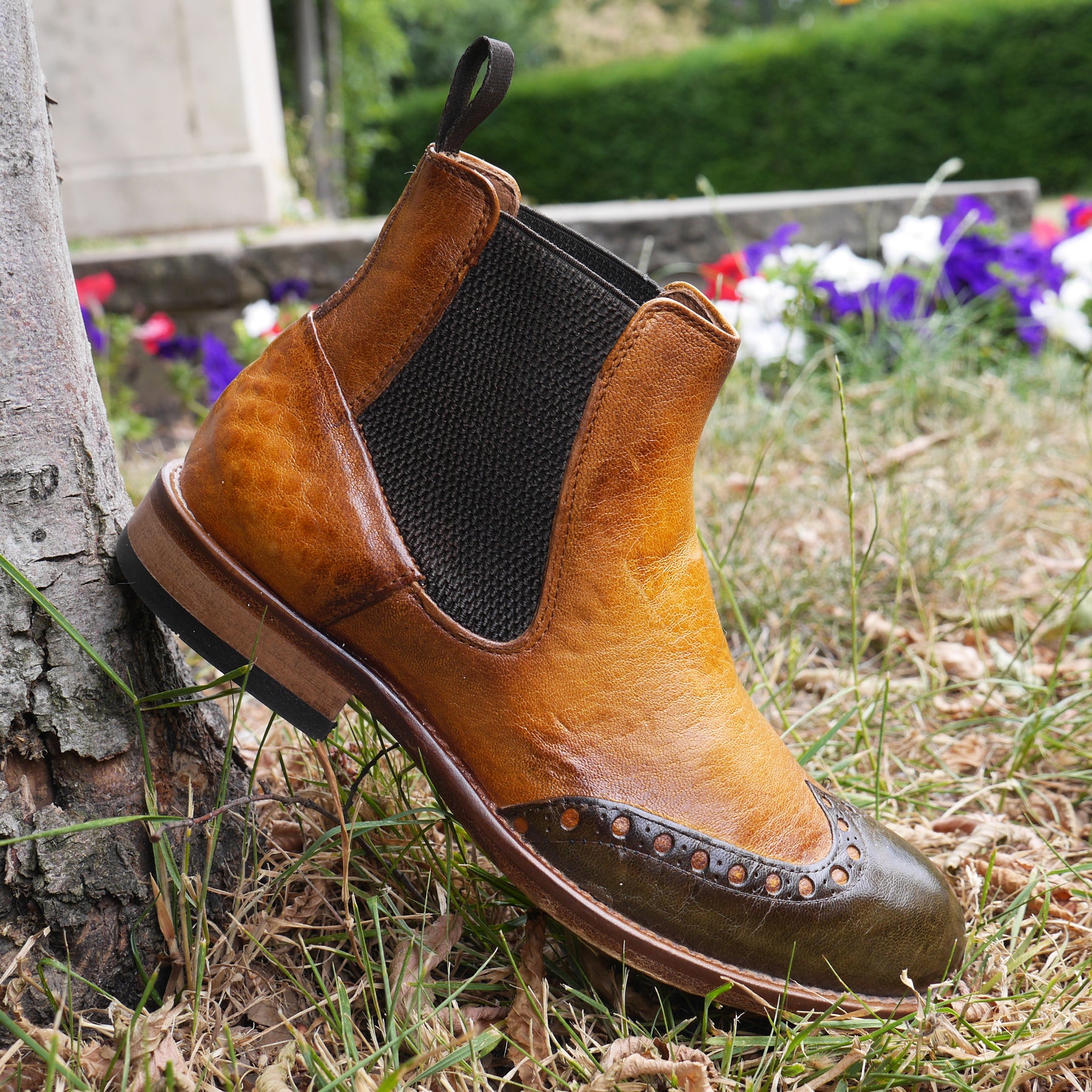 6541 -Safari Olivia Chelsea Brogue
