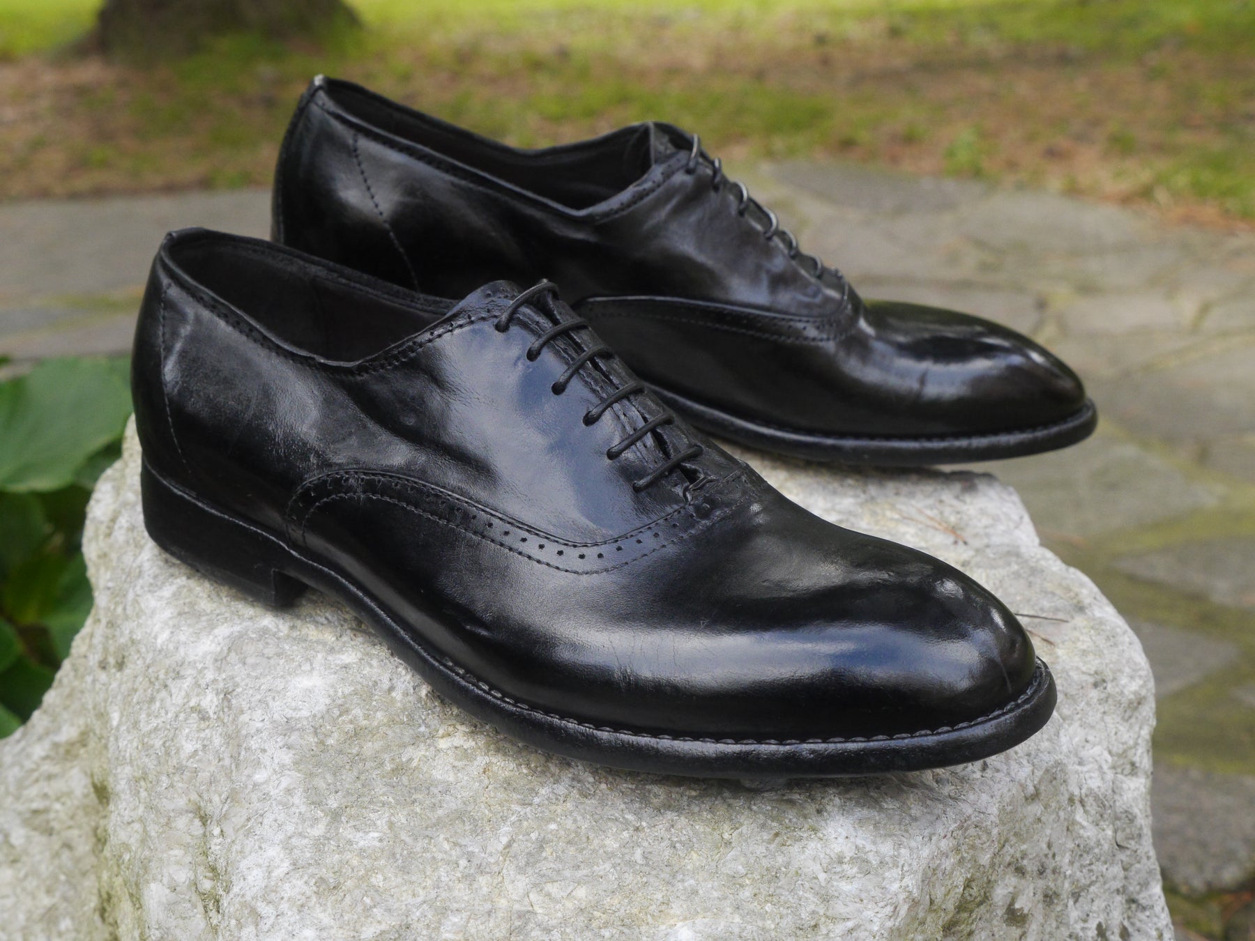 ACOIA - Black Burnish Lace Up