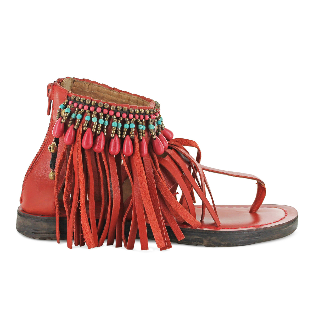 T0209 - Coral Fringe